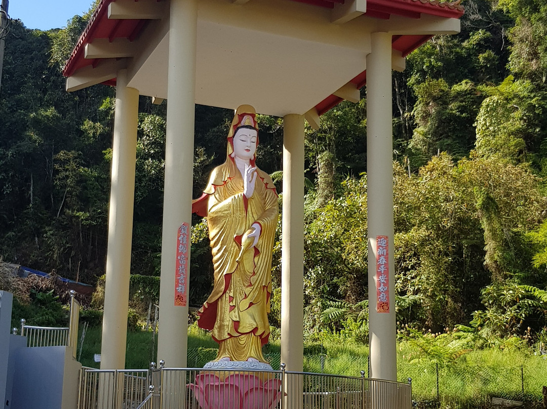 Cameron Highlands Taxi Service-丹那拉塔必去景点