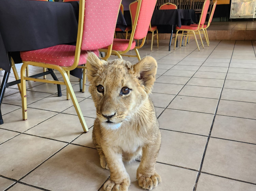 Eventieria Wildlife Park-瓦尔沃特必去景点