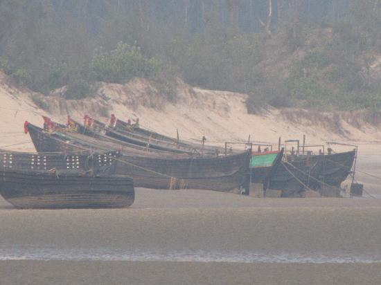 Talasari Beach景点图片