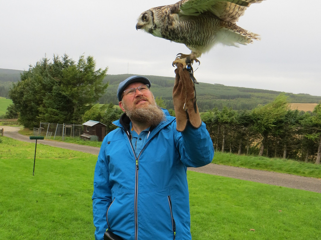 Speyside Falconry-Mulben必去景点