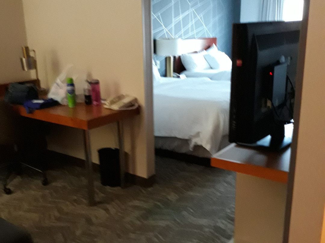弗兰肯默斯万豪SpringHill Suites 酒店主图
