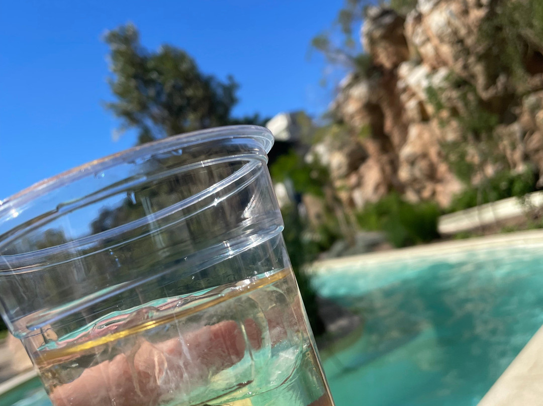 Avalon Springs Health Spa-蒙提古必去景点