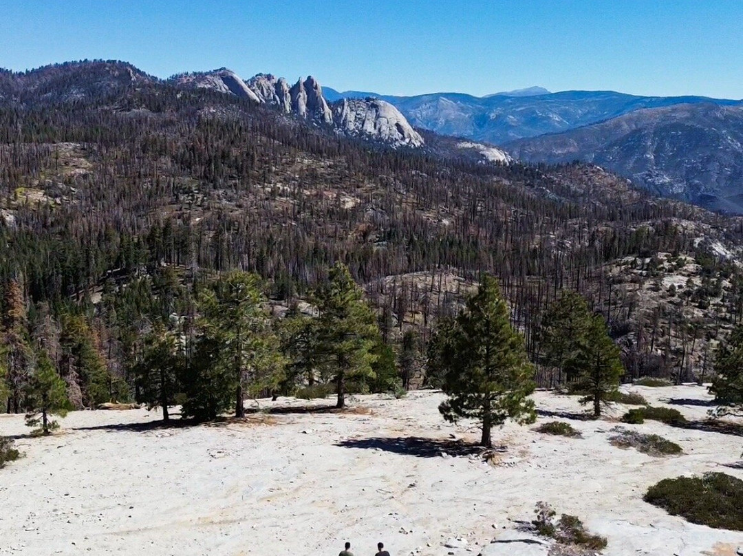Sequoia National Forest-波特维尔必去景点