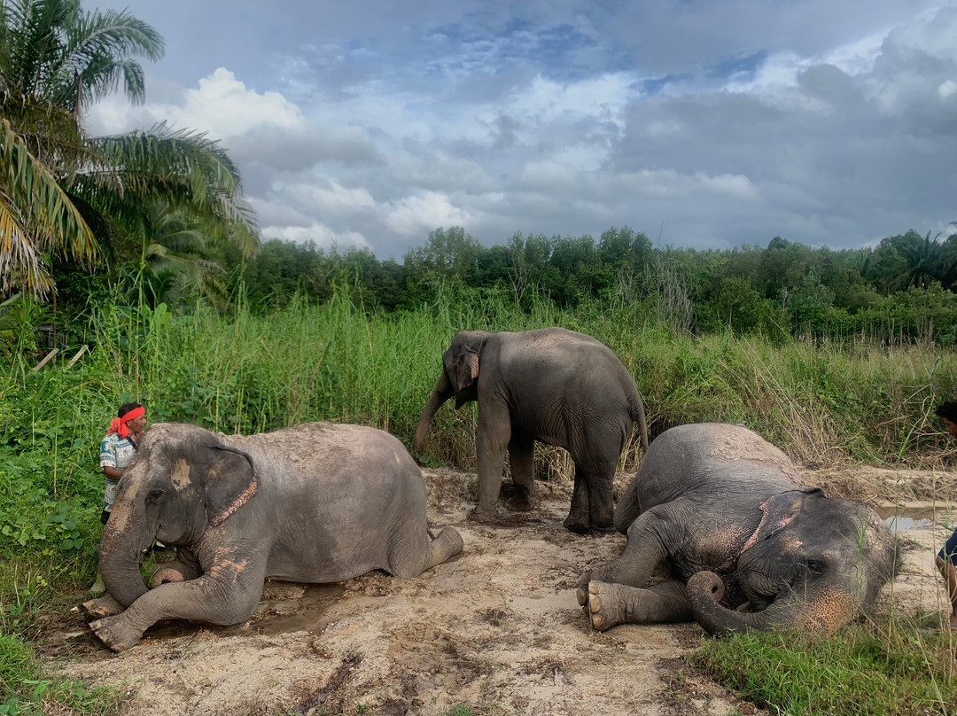 Thai Town of Elephant  Krabi景点图片