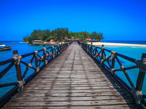 Coconut Tour-石头城必去景点