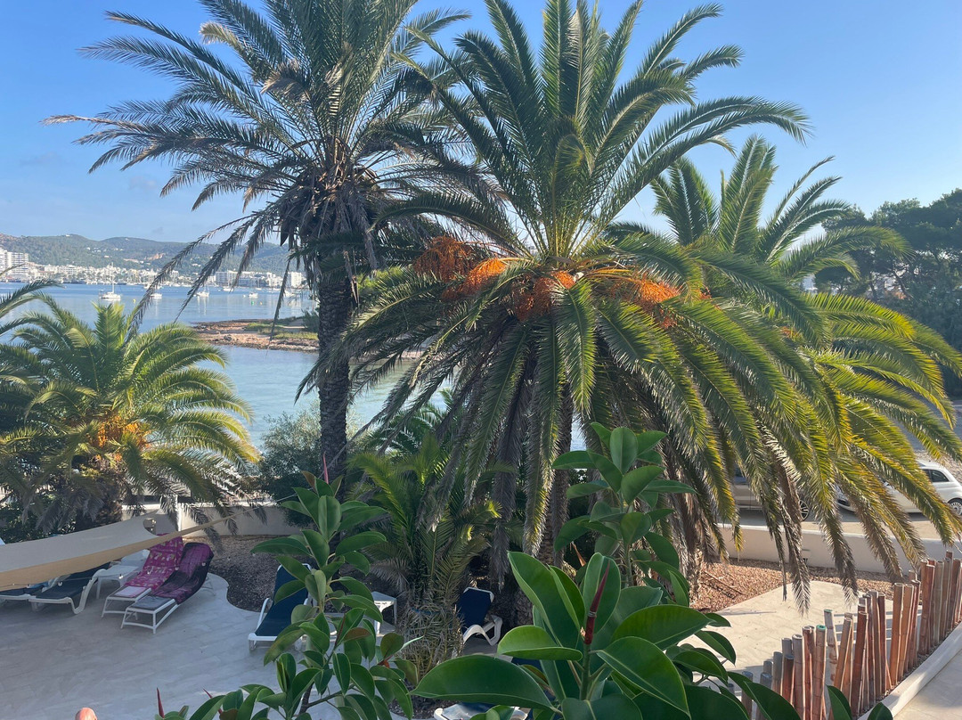 Transfer Ibiza景点图片