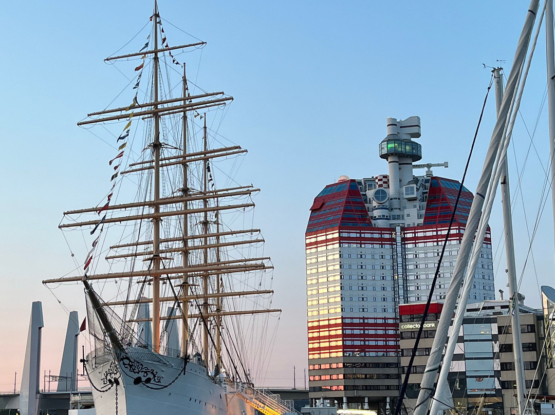 巴肯维京酒店主图