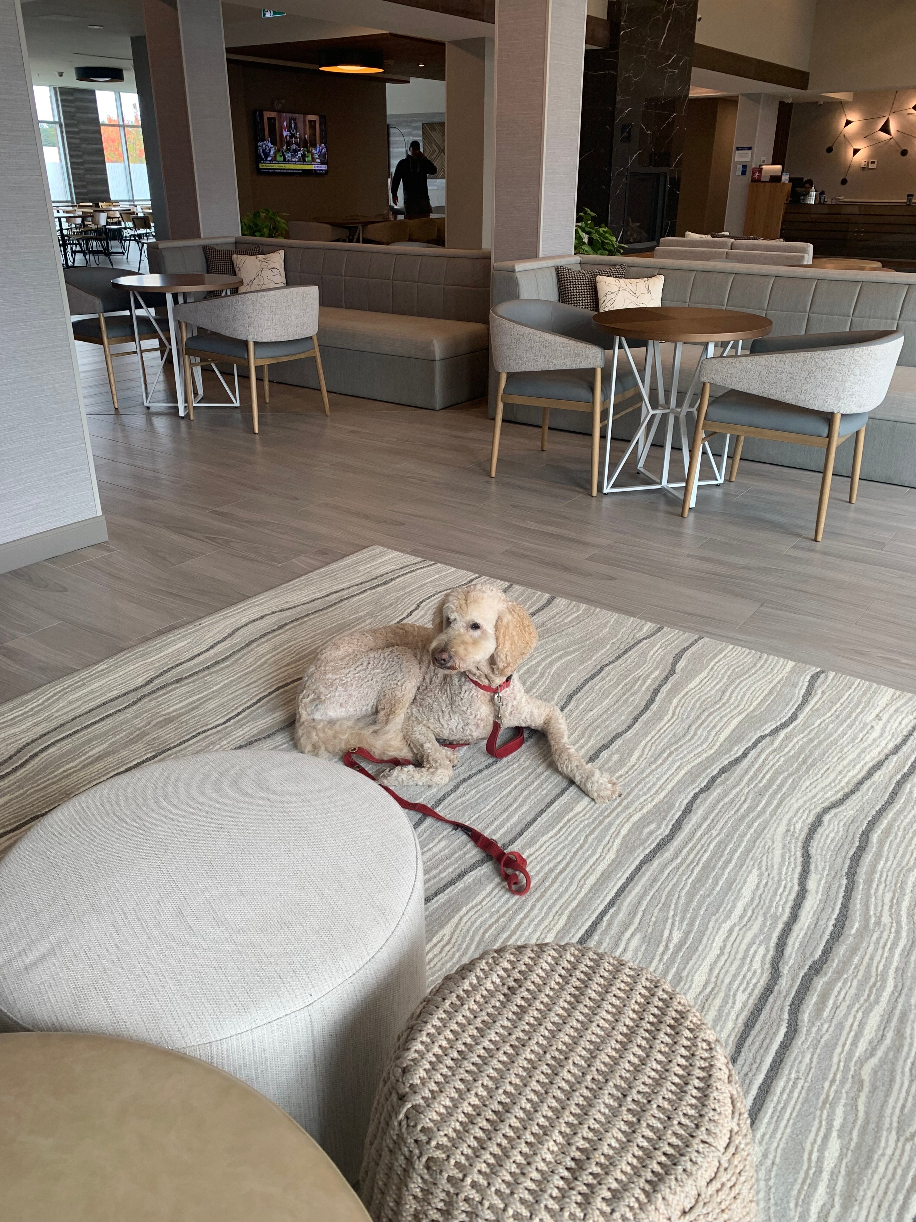 Best Western Plus Parry Sound-浴室