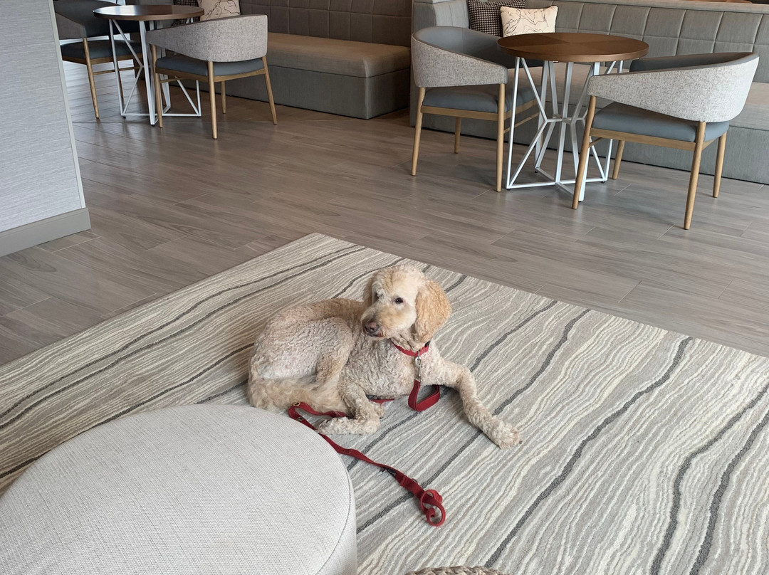 Best Western Plus Parry Sound主图