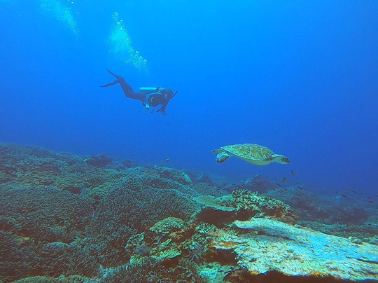 海王巴厘潜水俱乐部-沙努尔必去景点