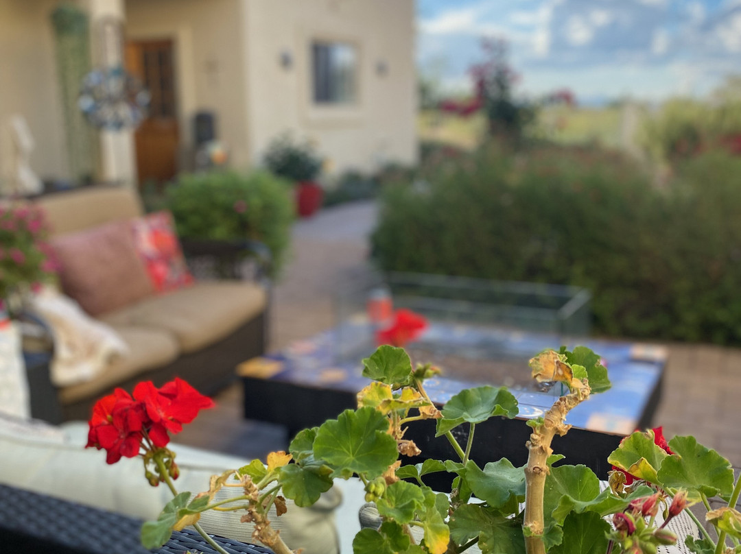 Dreamcatcher Inn At Chiricahua主图