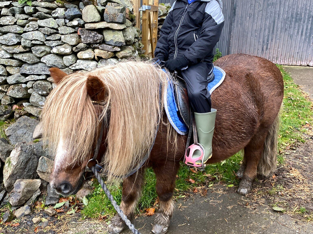 Pony Trekking Ullswater景点图片
