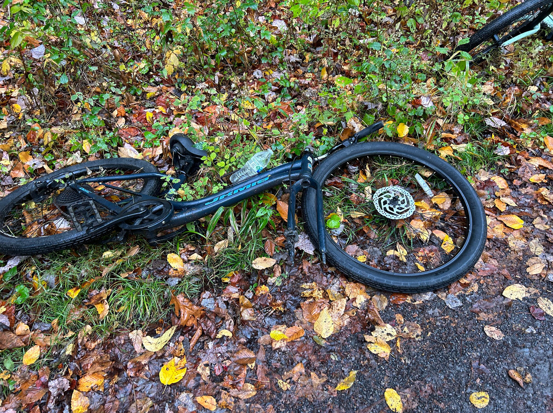 Bicycle Junction-Damascus必去景点