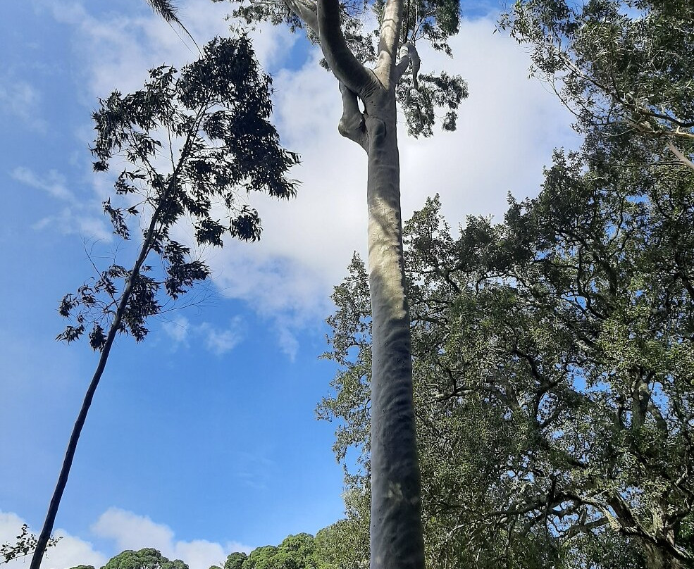 Jardim de Sant'Ana-蓬塔德尔加达必去景点