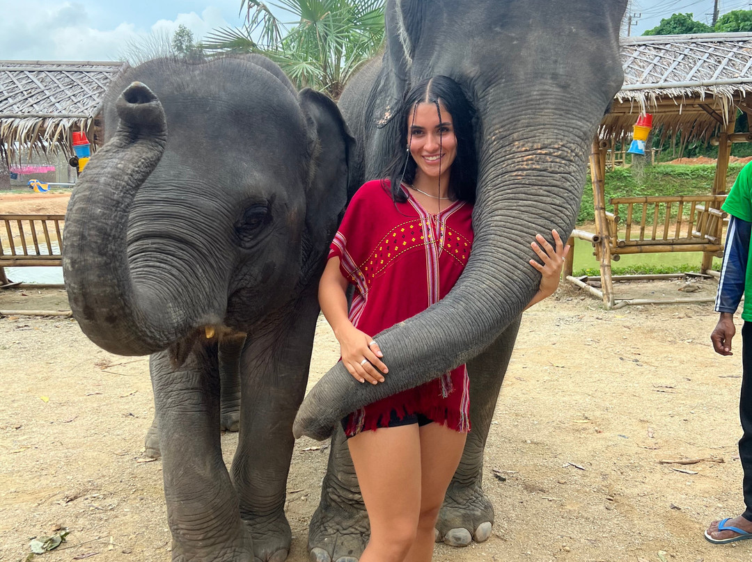 Elephant Family Phuket-卡图必去景点