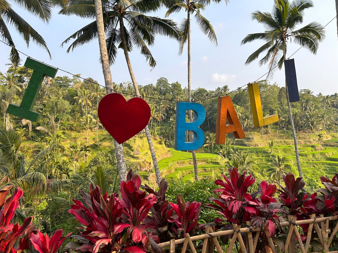 Get Bali Transport-吉安雅必去景点