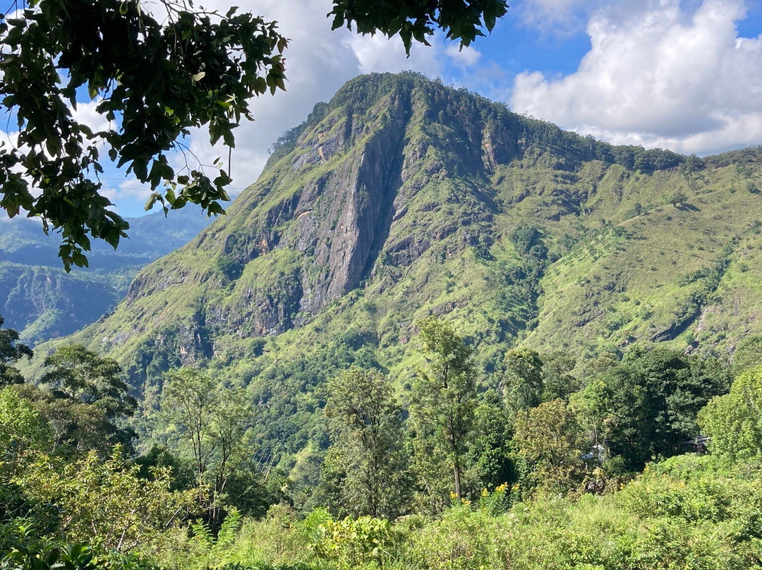 Visit Holiday Lanka Tours景点图片