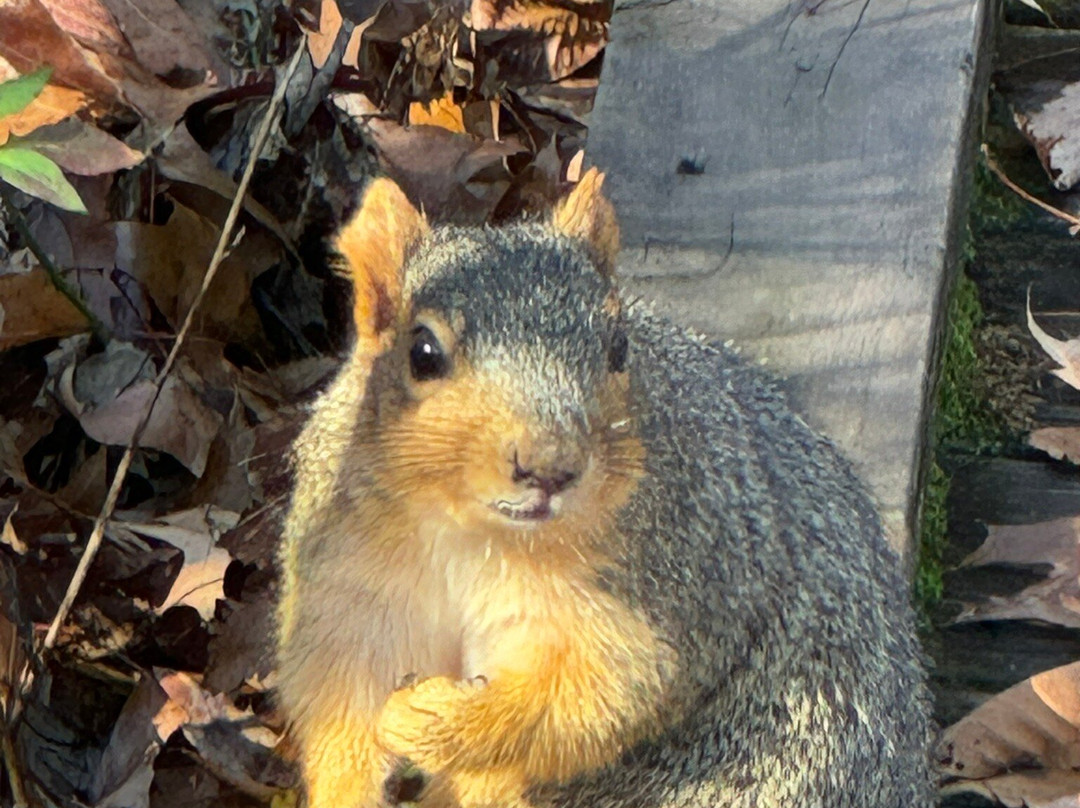 Blacklick Woods Metro Park-Reynoldsburg必去景点