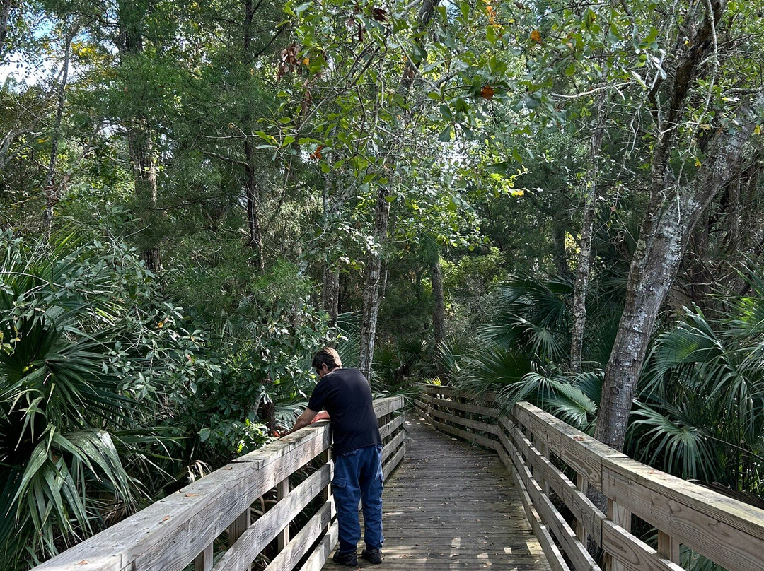 Scipio Creek Boardwalk-Apalachicola必去景点