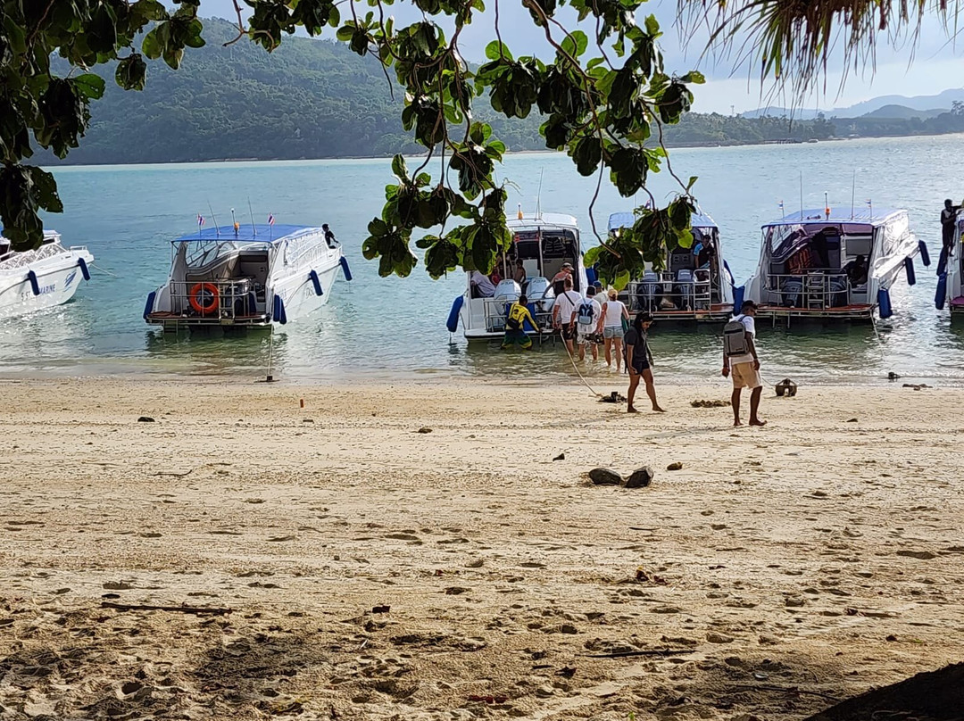 Coral Seekers-普吉镇必去景点