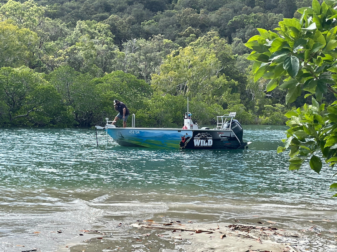 Wild Hinchinbrook Adventures-Lucinda必去景点