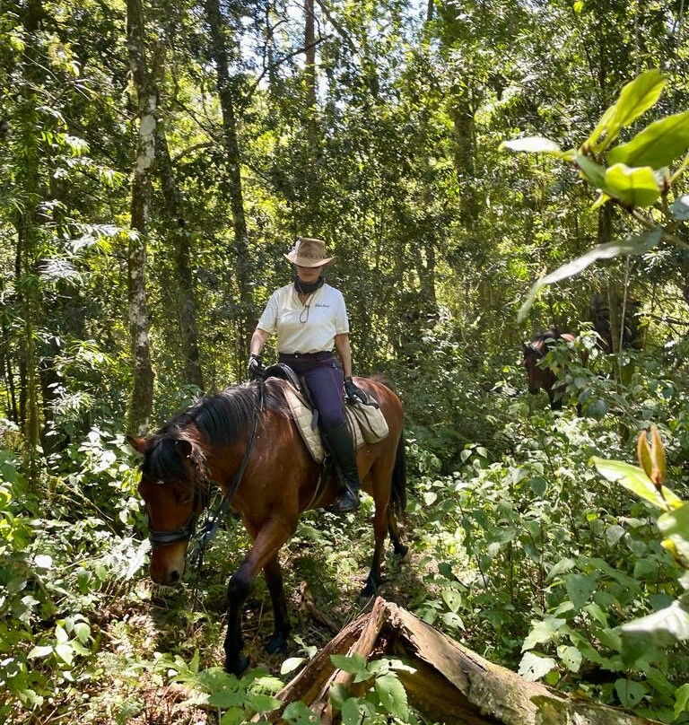De Rust Horseriding - Klein Karoo Horse Adventures-德鲁必去景点