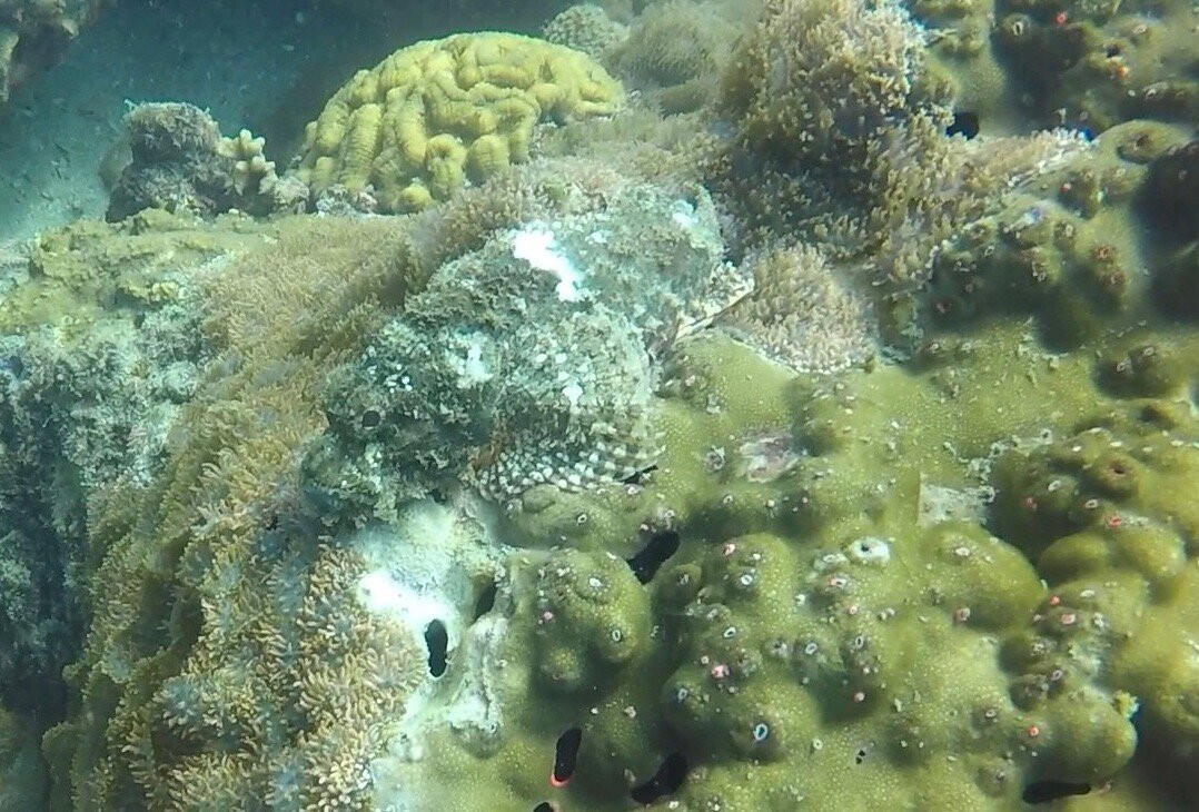 Paradise Divers Koh Kood景点图片