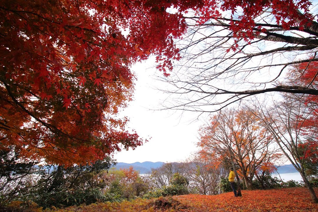 Futatsuyama Castle Ruins-邑南町必去景点
