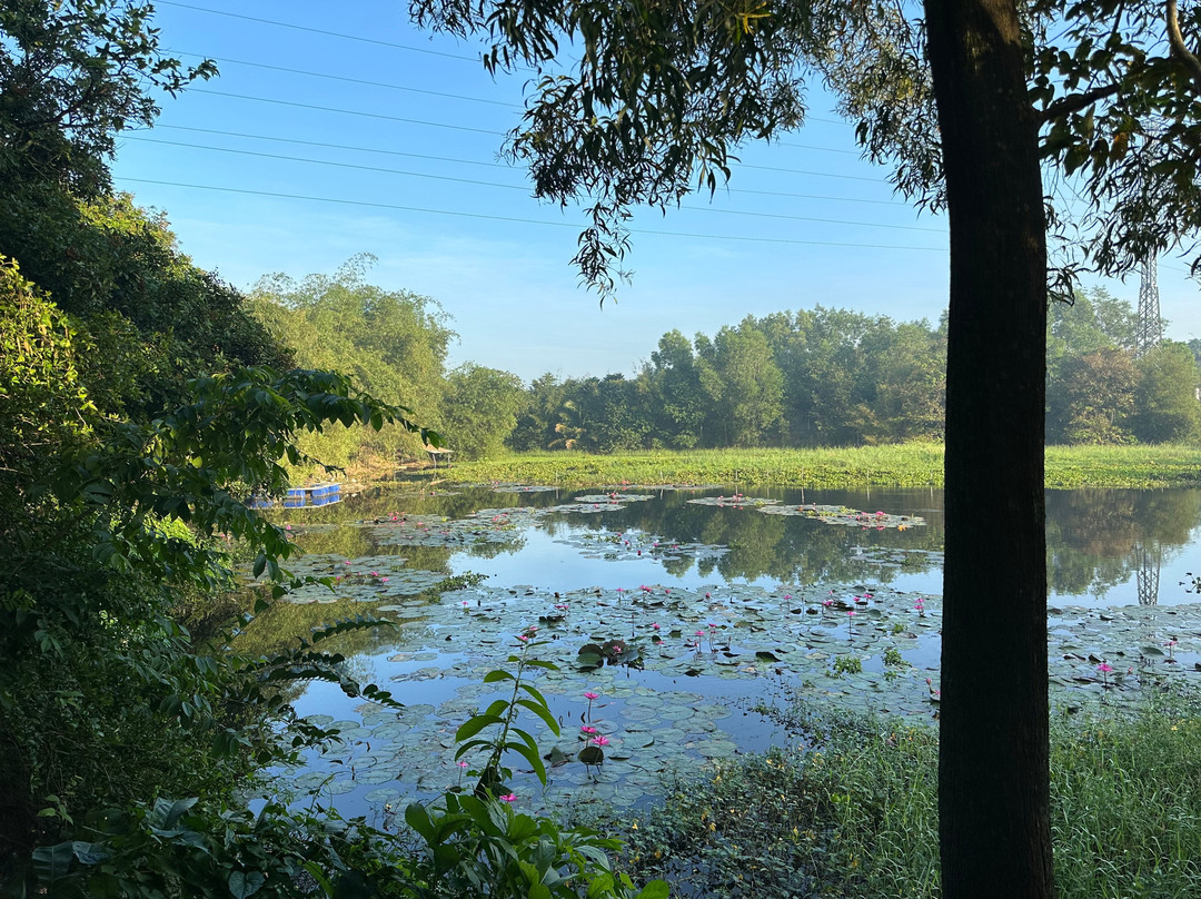 Cu Chi Boutique Farmstay主图