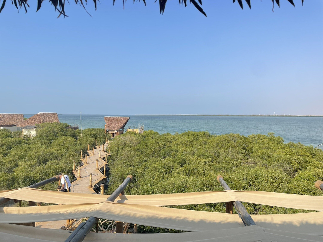 UAQ Mangrove Tours-乌姆盖万必去景点