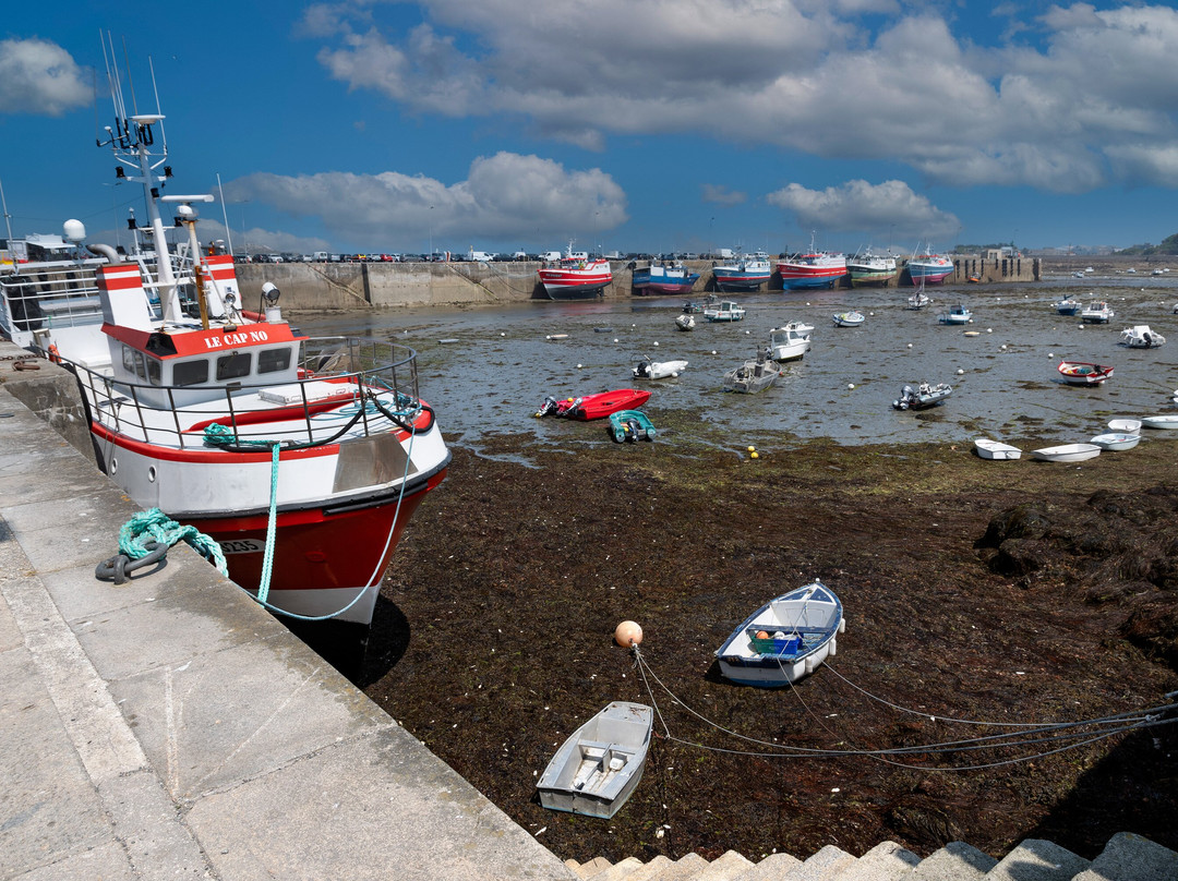 Port de Roscoff