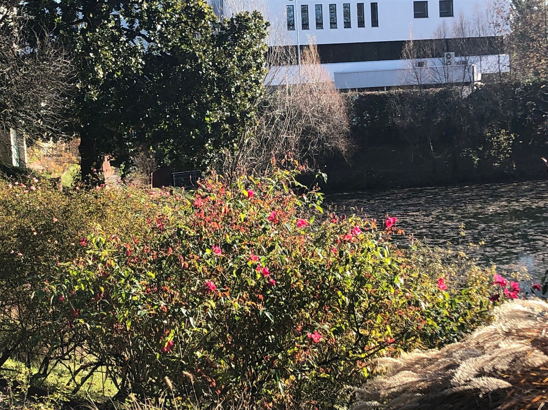 Parco Galvani E Museo Itinerario Della Rosa Antica-波代诺内必去景点