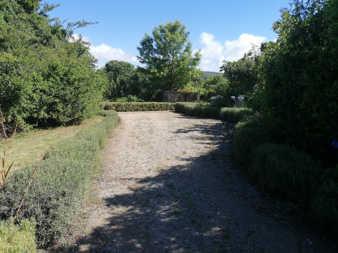 Bitou River Lodge主图