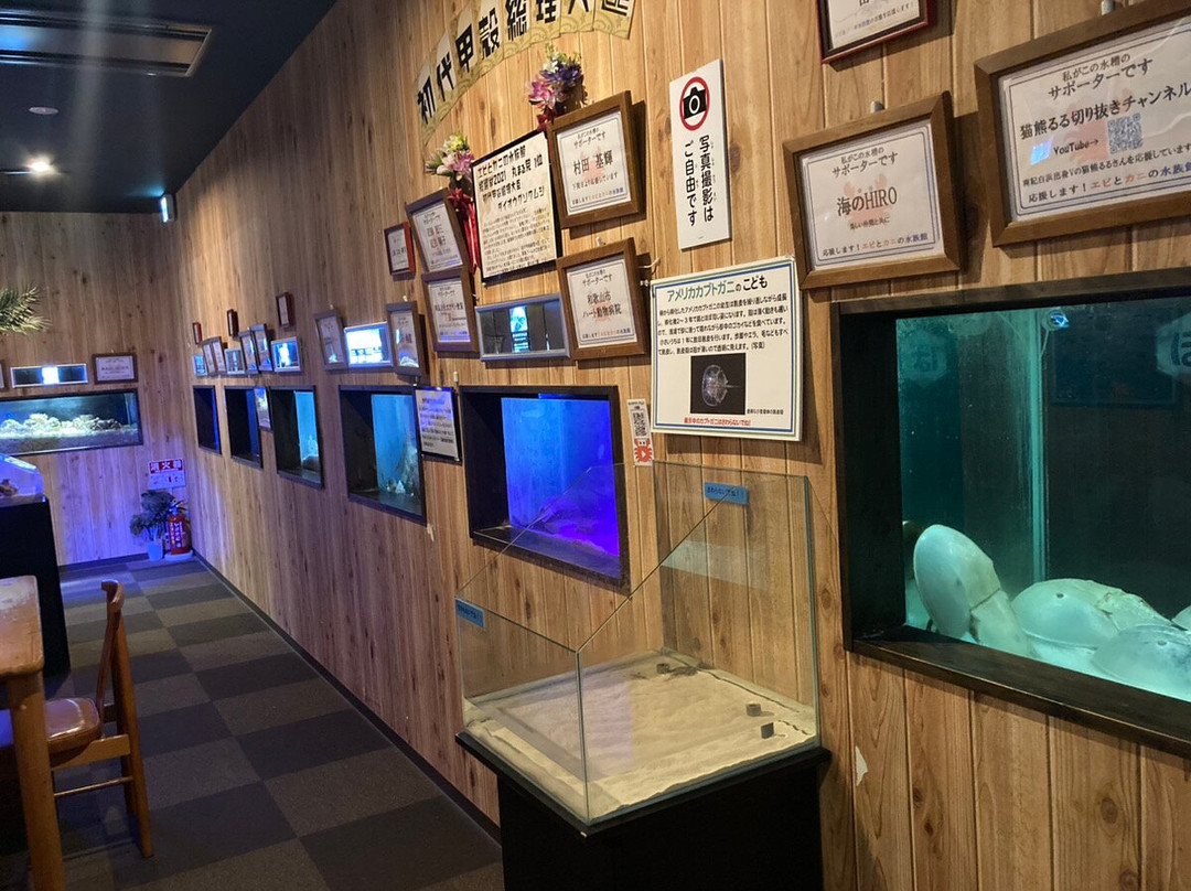 Susami Crustacean Aquarium-周参见町必去景点