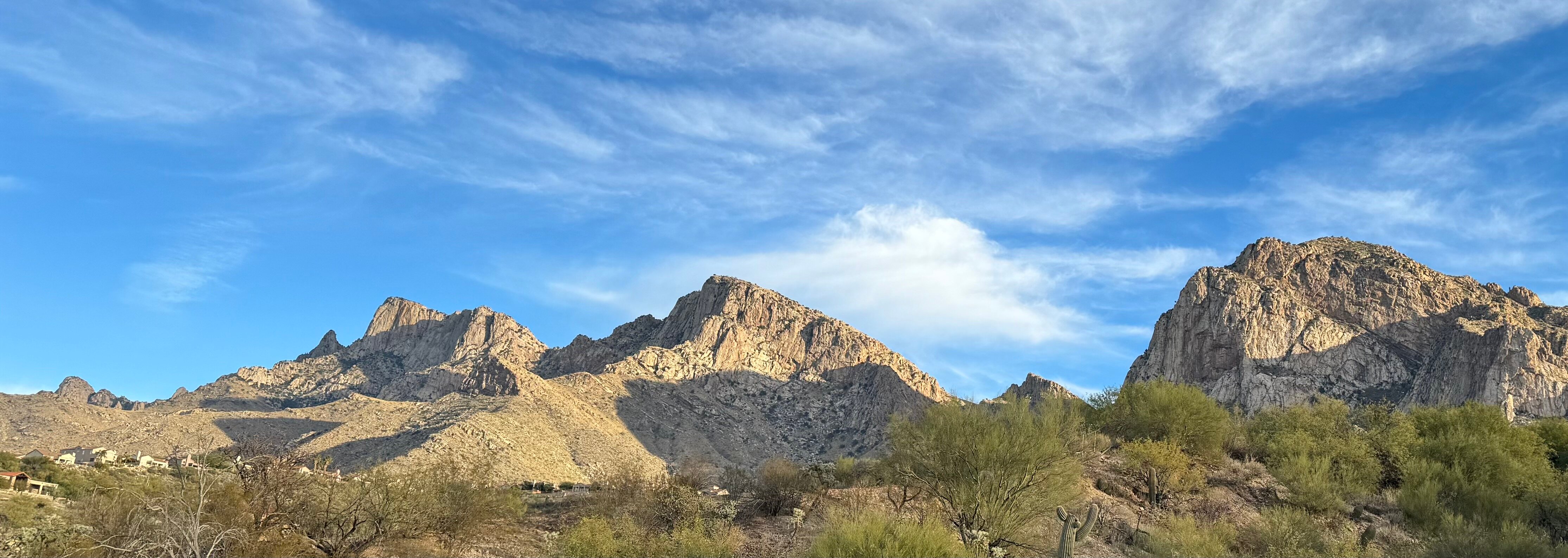 El Conquistador Tucson, A Hilton Resort-酒店景观