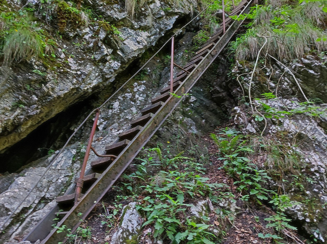Pekel Gorge-Borovnica必去景点