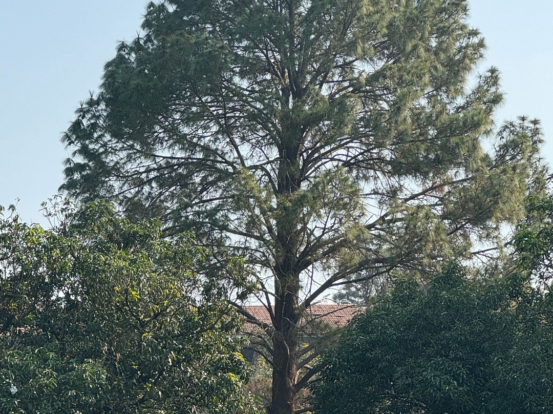 WelcomHeritage Golf View主图