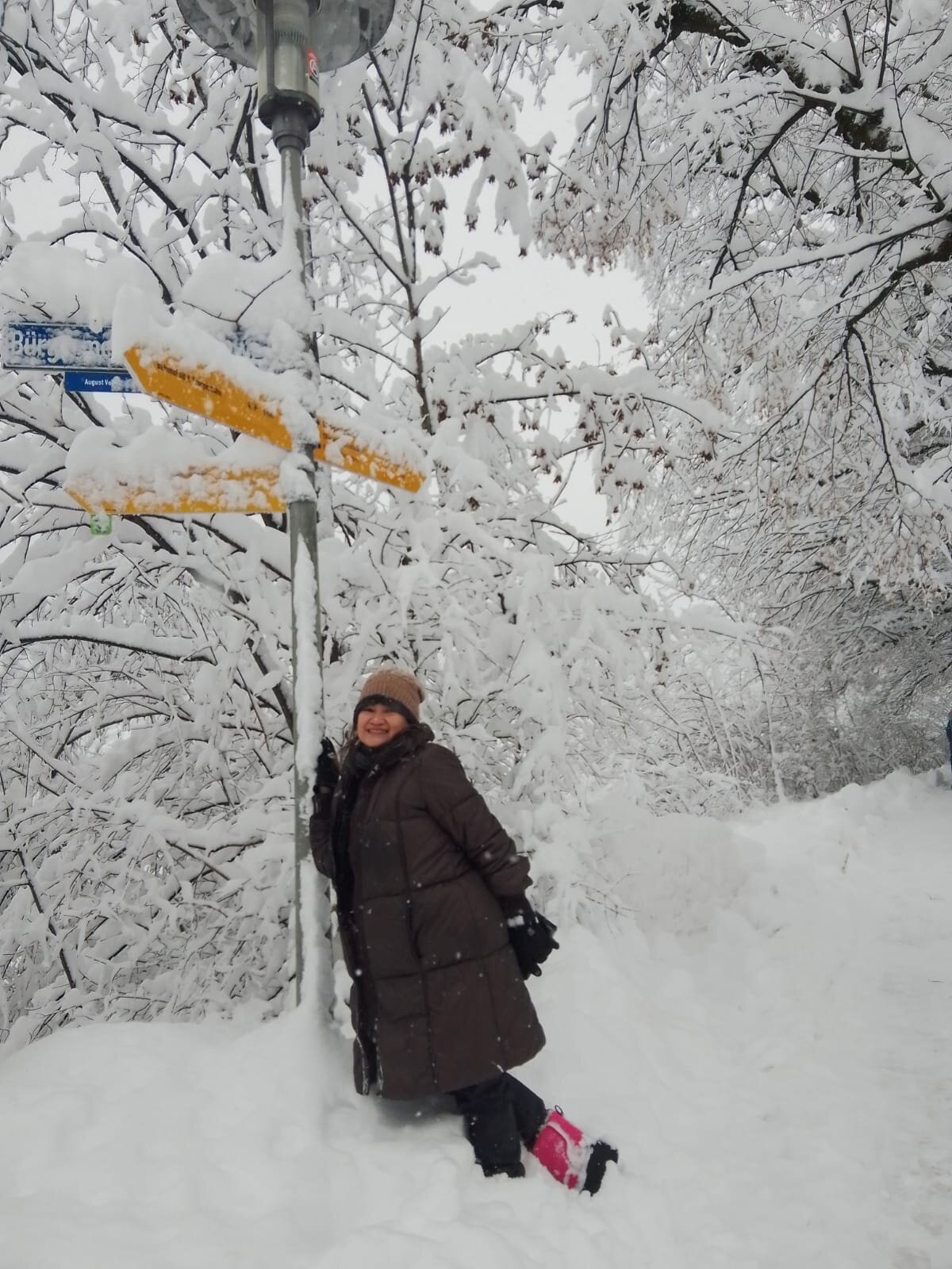 Seehotel Grauer Baer-官方