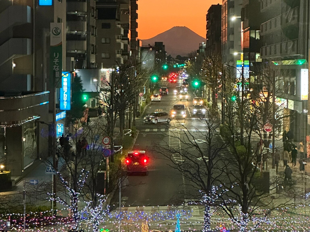Fujimi Terrace-东久留米市必去景点