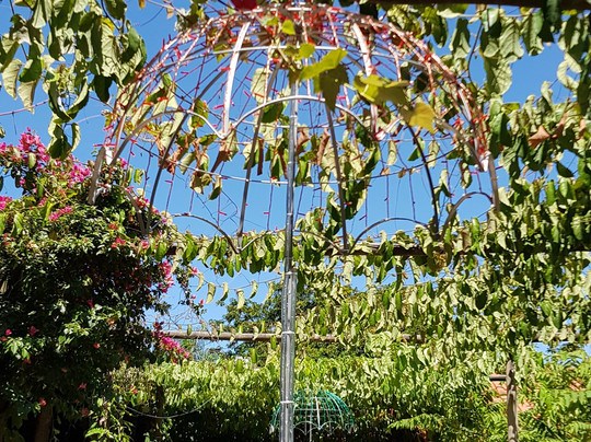 Mosteiro Paraiso-Torrinha必去景点