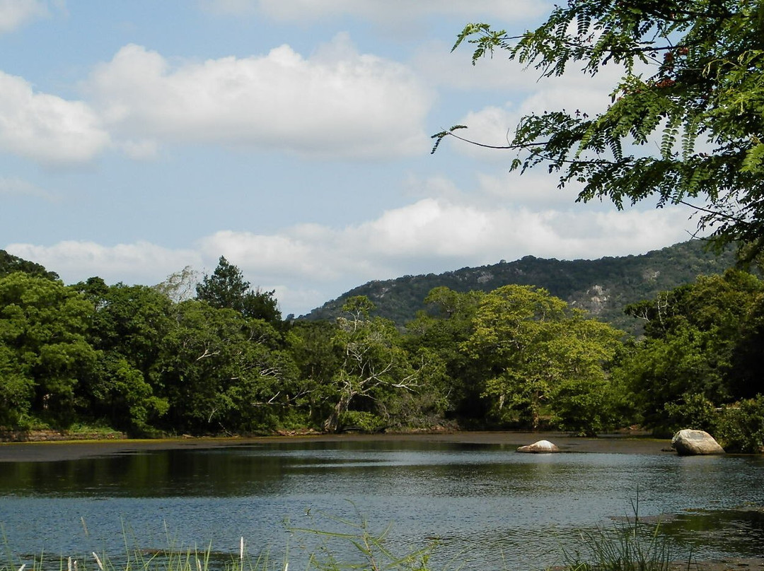 Kalu Diya Pokuna Natural Black Water Pond景点图片