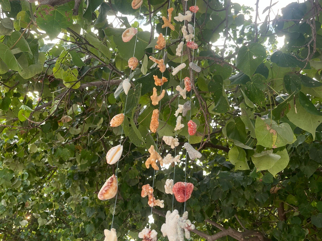 Summer Vibes Beach Front主图