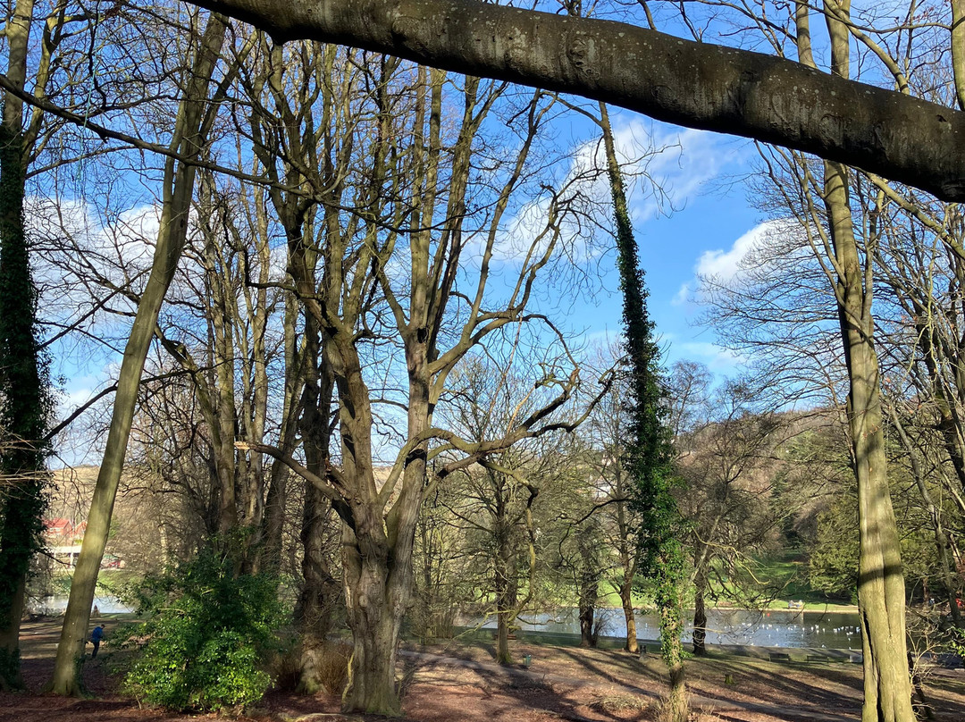 Kearsney Abbey Gardens景点图片