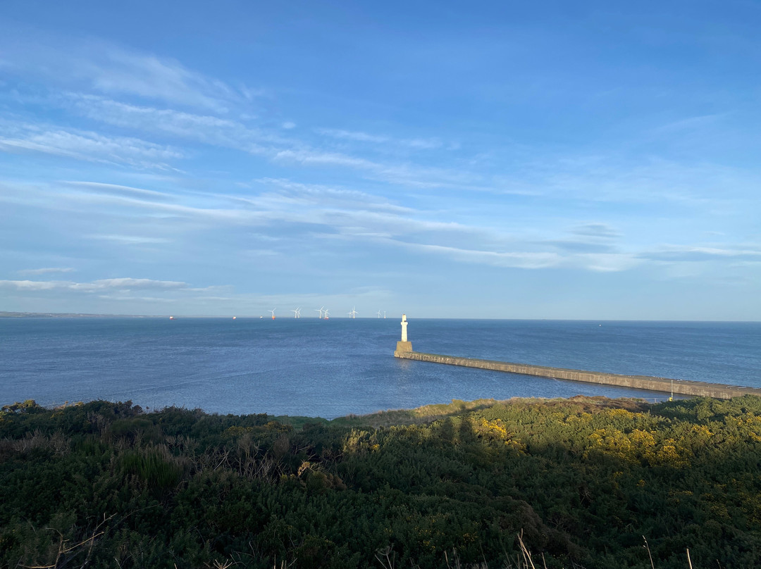 Torry Battery-阿伯丁必去景点
