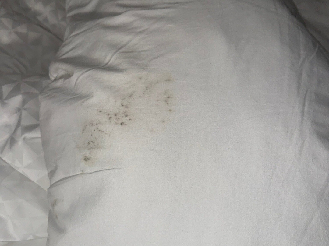 Four Points by Sheraton Saskatoon主图