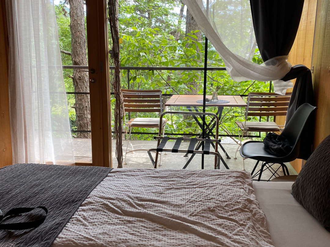Theodosius Forest Village主图
