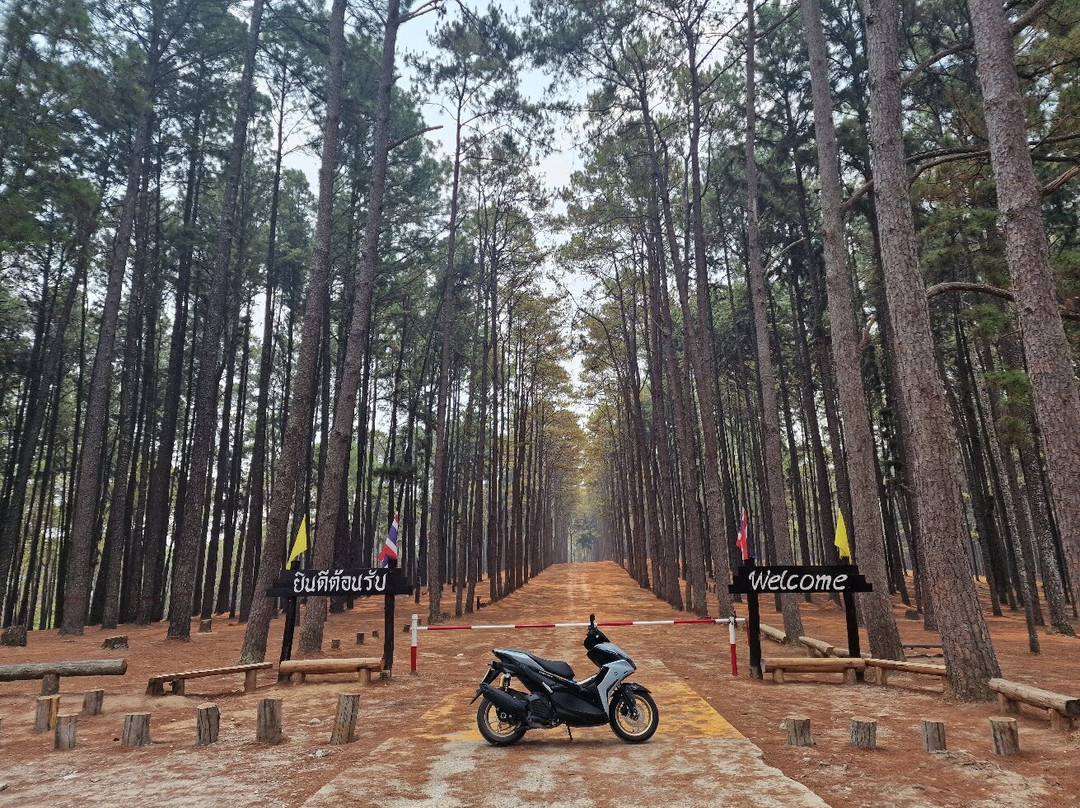 Mae Hong Son Loop景点图片