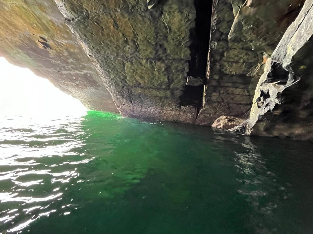 West Coast RIB Adventures-Kilrush必去景点