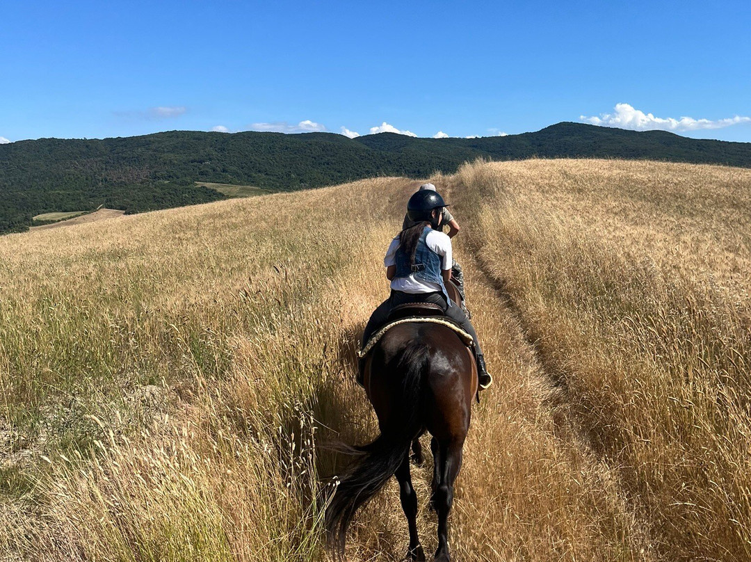 Centro Equestre Samarcanda-沃尔泰拉必去景点