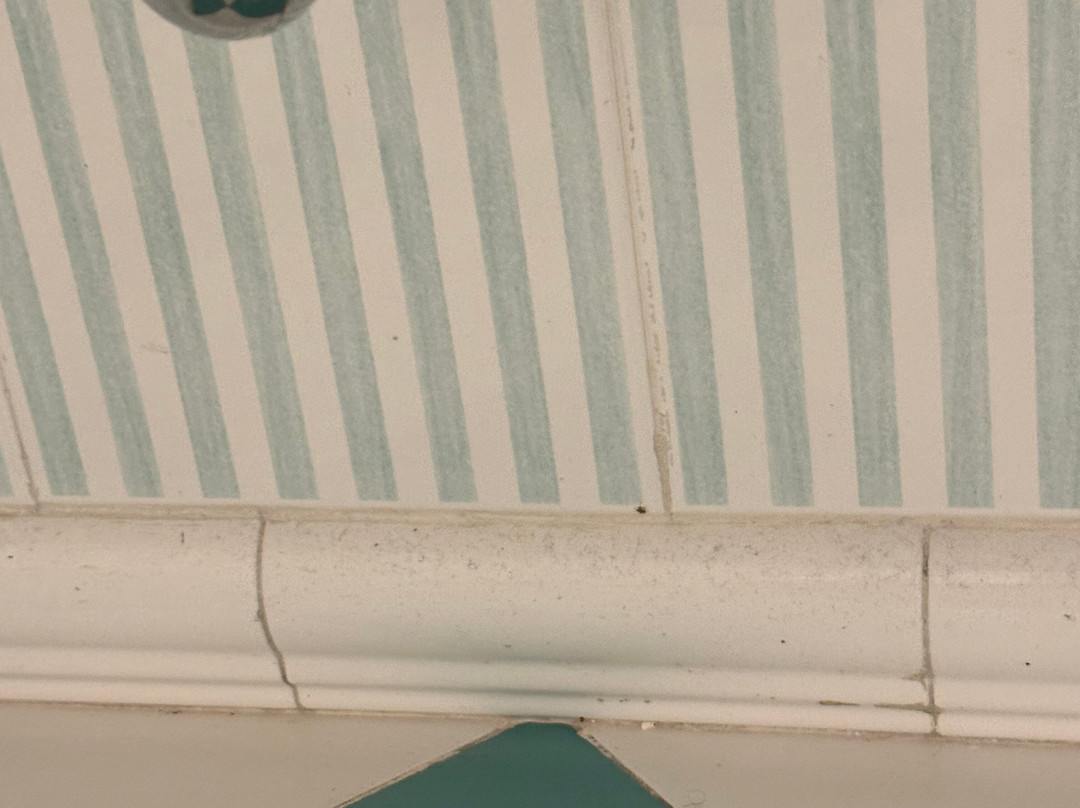 Green Hotel主图